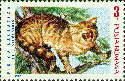CATS ON STAMPS: The wild cat