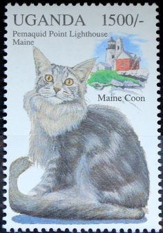 CATS ON STAMPS: The Maine Coon