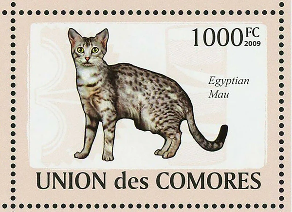 CATS ON STAMPS: Egyptian Mau