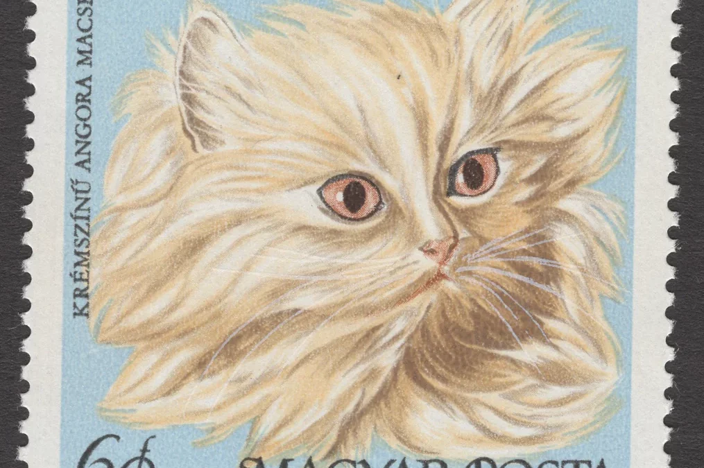 CATS ON STAMPS: Angora