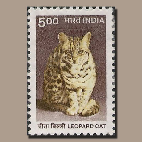 CATS ON STAMPS: Leopard Cat