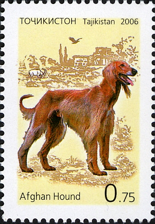 DOGS ON STAMPS: Afghan Hound
