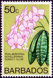 ORCHIDS ON STAMPS