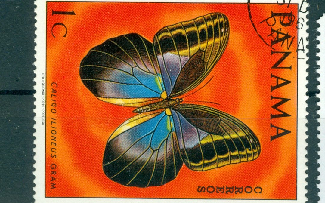 BUTTERFLIES ON STAMPS – Panama
