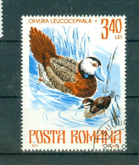 BIRDS ON STAMPS